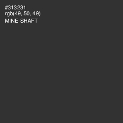 #313231 - Mine Shaft Color Image